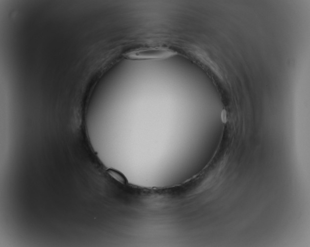 X0000092100593200710031214