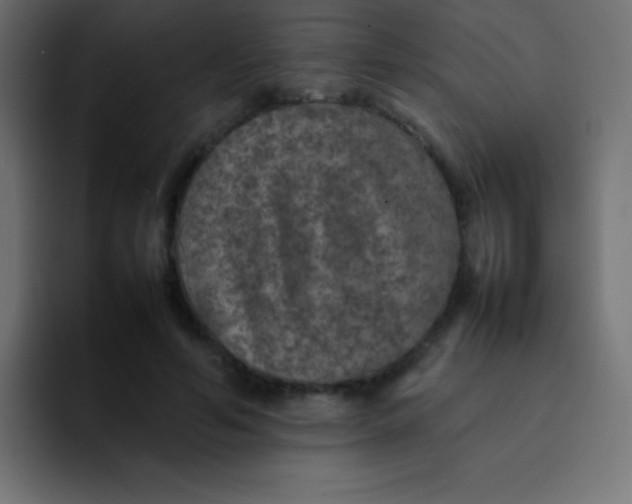 X0000092100594200710031214