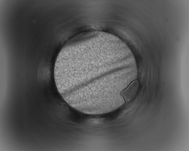 X0000092100595200710031214