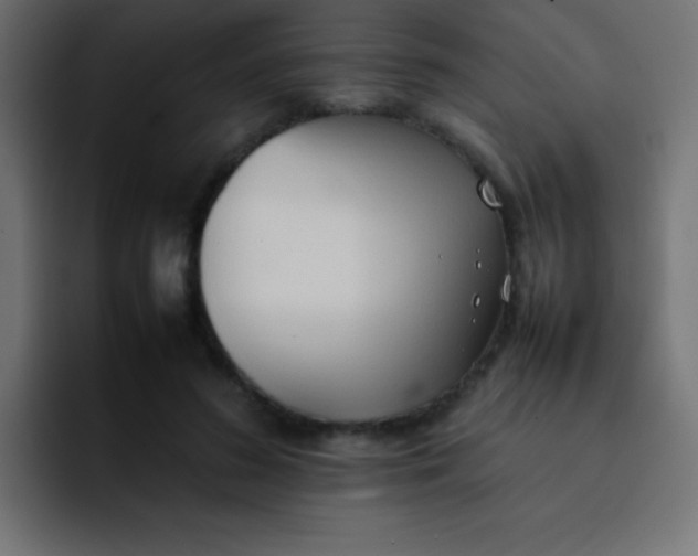 X0000092100596200710031214