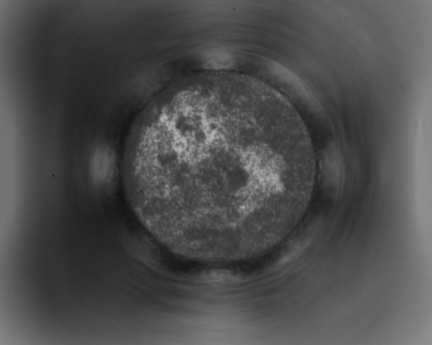 X0000092100598200710031214