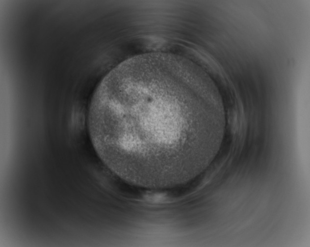 X0000092100602200710031213