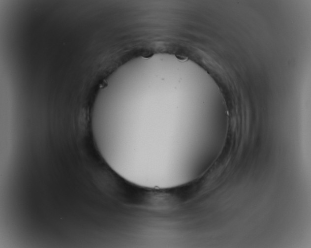 X0000092100605200710031213