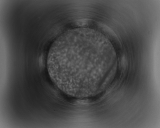 X0000092100606200710031213