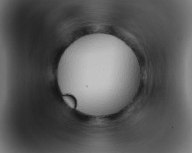 X0000092100607200710031213