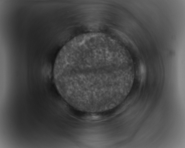 X0000092100610200710031213