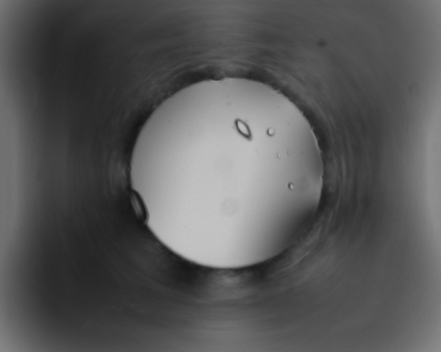 X0000092100613200710031213