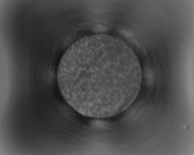 X0000092100614200710031213