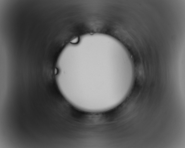 X0000092100615200710031213