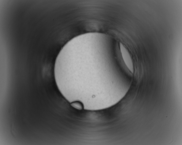 X0000092100616200710031213