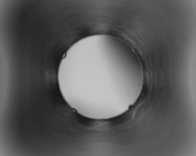 X0000092100617200710031213