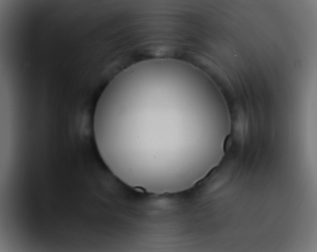 X0000092100620200710031213