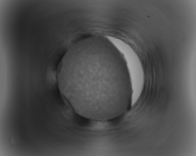 X0000092100621200710031213