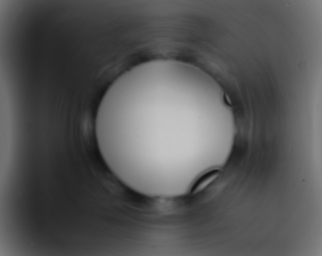 X0000092100623200710031213