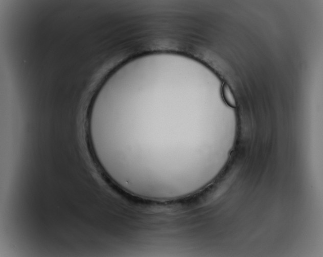 X0000092100625200710031213