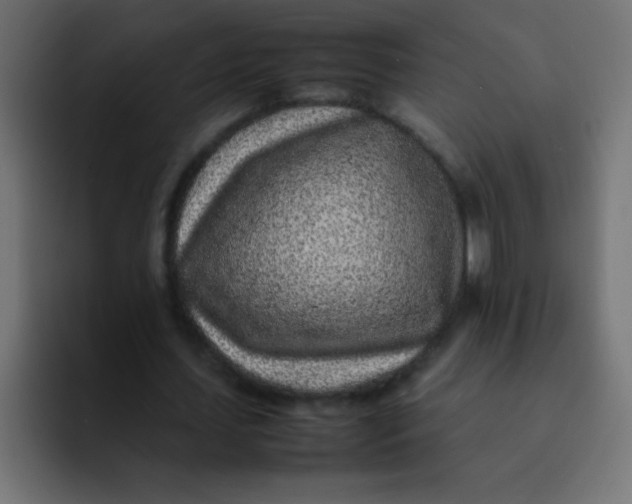 X0000092100627200710031213