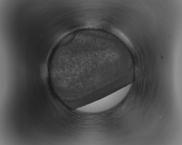 X0000092100628200710031213