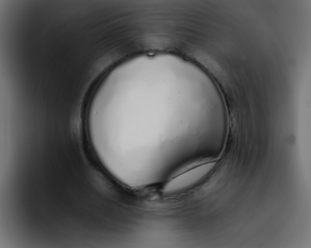 X0000092100630200710031213