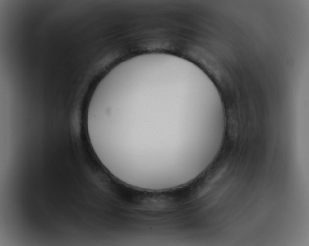 X0000092100631200710031213