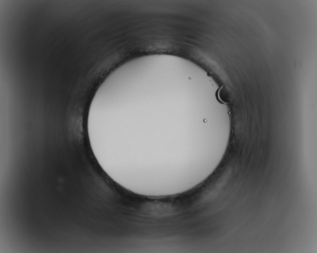 X0000092100633200710031213