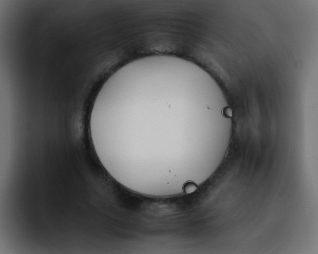 X0000092100635200710031213