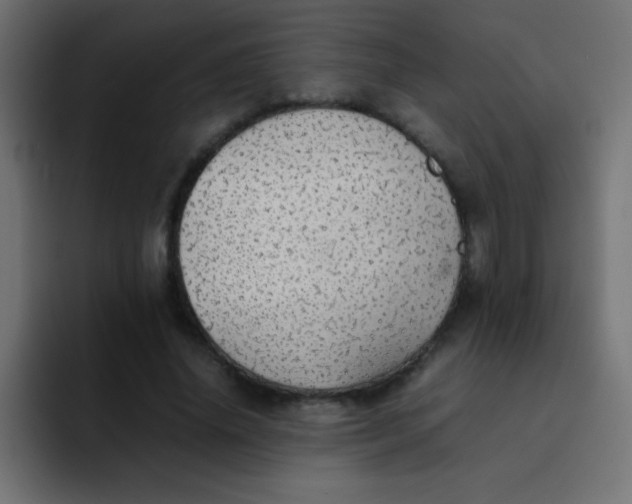 X0000092100636200710031213