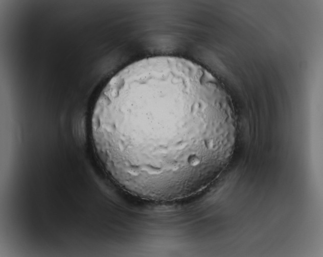 X0000092100638200710031213