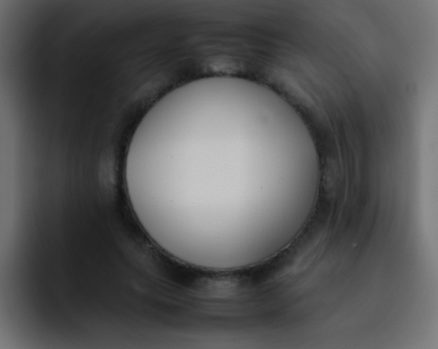 X0000092100639200710031213