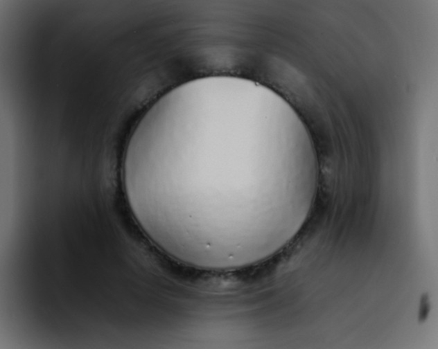 X0000092100642200710031213