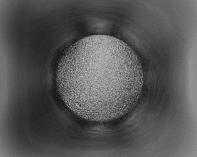 X0000092100643200710031213