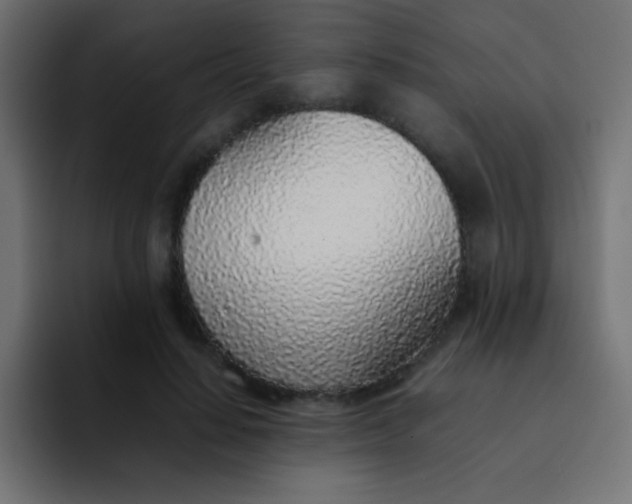 X0000092100644200710031213