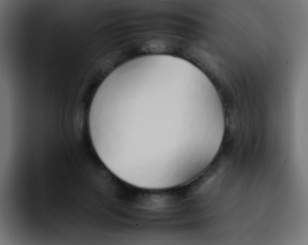 X0000092100645200710031213