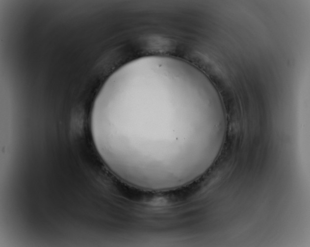 X0000092100647200710031213