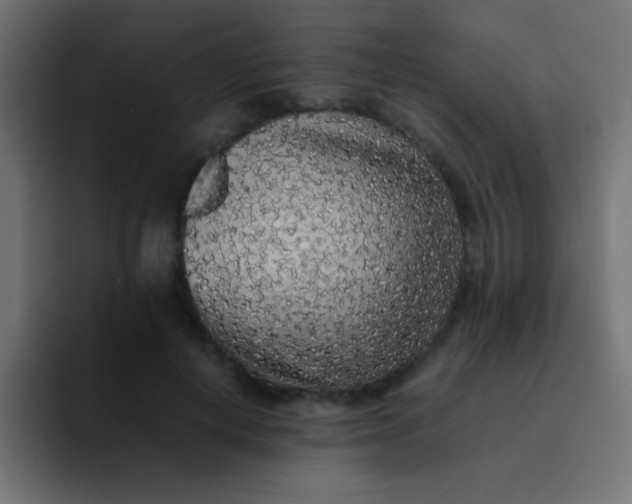 X0000092100648200710031213