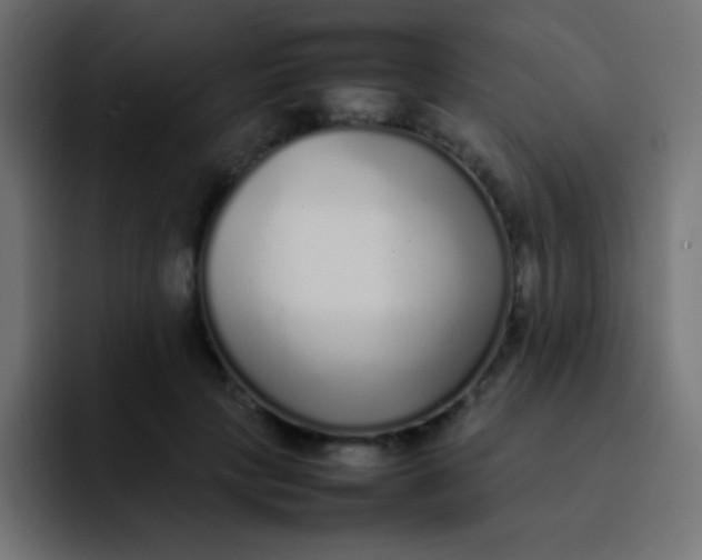 X0000092100649200710031213