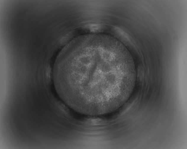 X0000092100650200710031213