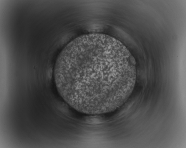 X0000092100652200710031213