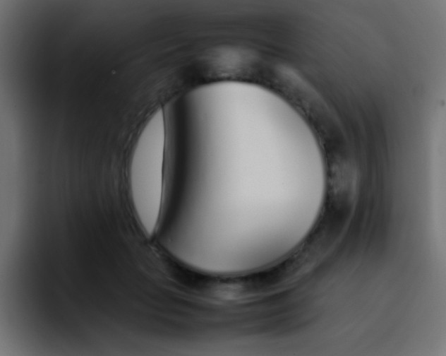 X0000092100653200710031213