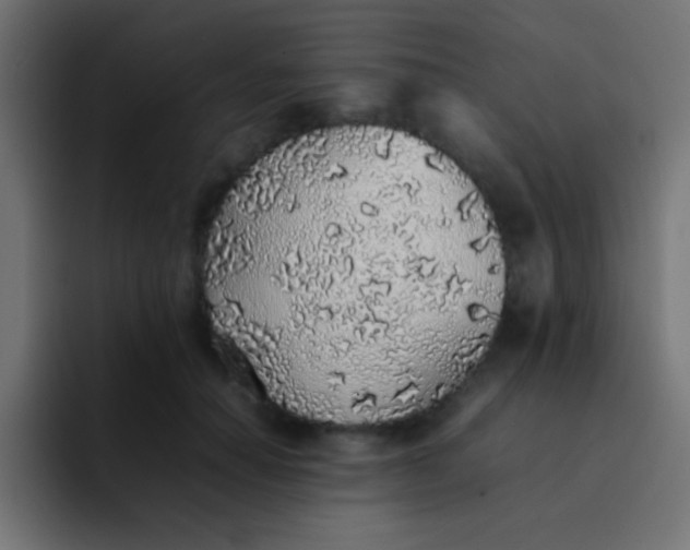 X0000092100654200710031213