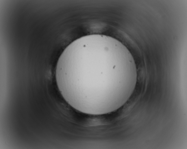 X0000092100655200710031213