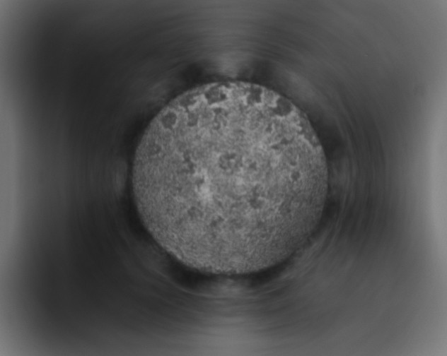 X0000092100656200710031213