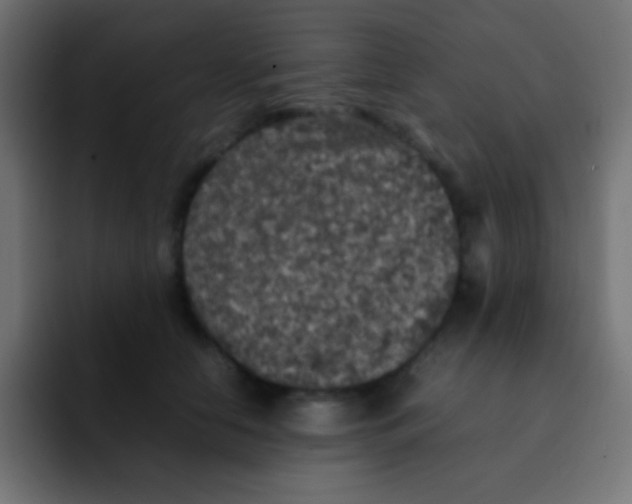 X0000092100658200710031213