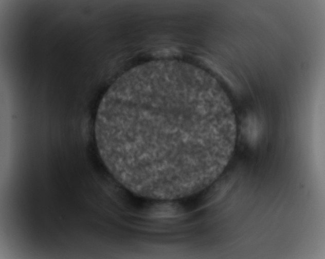 X0000092100659200710031213