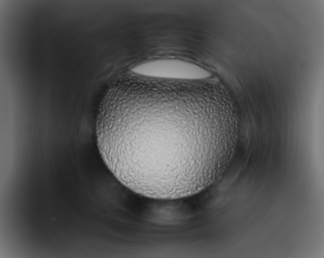 X0000092100661200710031213