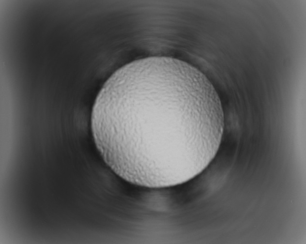 X0000092100664200710031213