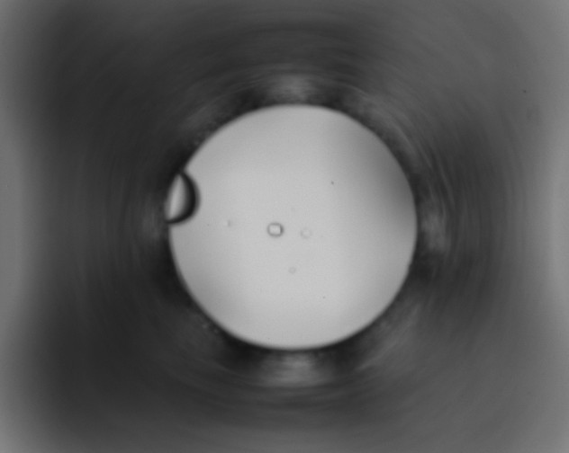 X0000092100665200710031213