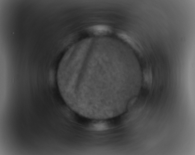 X0000092100667200710031213