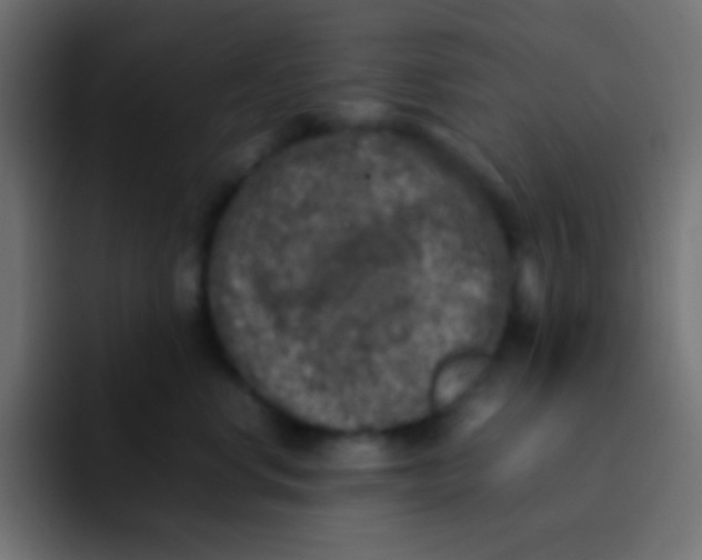 X0000092100668200710031213