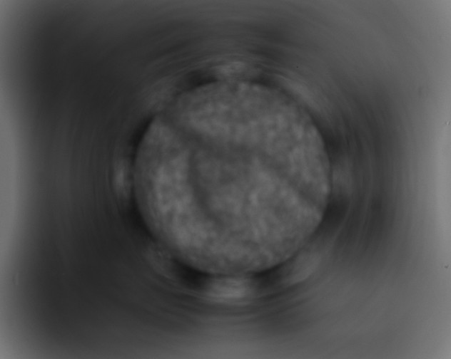 X0000092100671200710031213