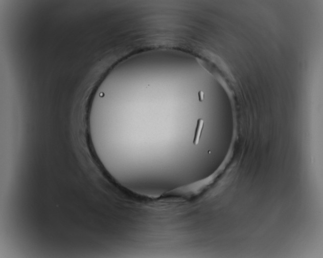 X0000092100673200710031213